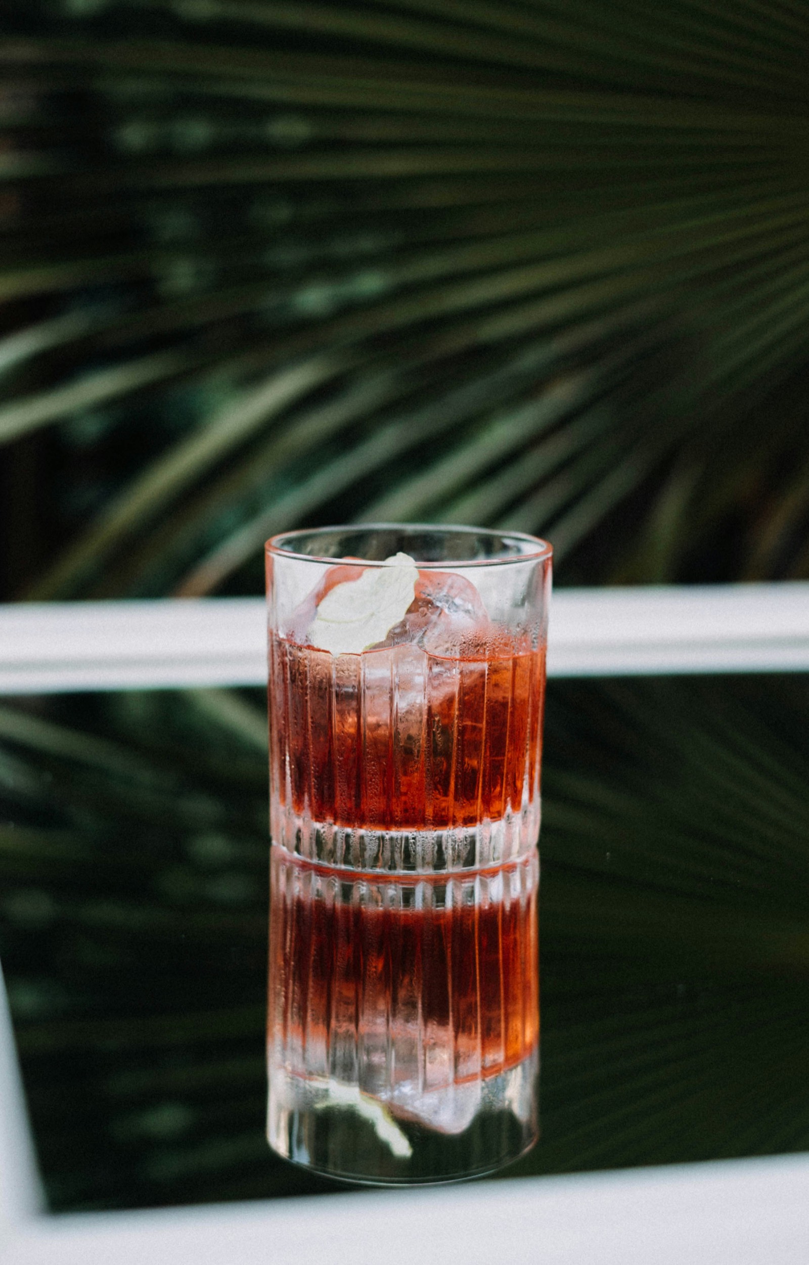 Negroni cocktail premium